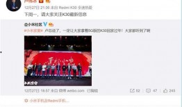 最新爆料卢伟冰,揭秘手机行业新动态与未来趋势”